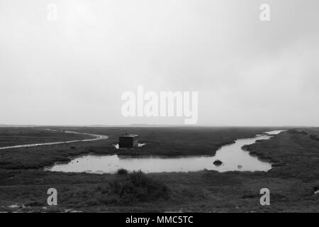 Brancaster Marsh a Deepdale Marsh, Burnham Deepdale, Norfolk, Inghilterra, Regno Unito Foto Stock