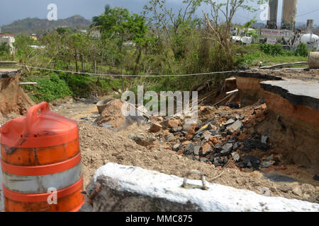 Strade collassato effettuare la consegna delle merci in aree remote in Puerto Rico impegnativo. Gli agenti FBI e U.S. Esercito di soldati di riserva da 393 contro il supporto del battaglione di supporto, 166a sostegno regionale, gruppo 1a sostegno della missione il comando, erogata acqua, cibo e teloni in Adjuntas, 11 ott. 2017. Le agenzie governative unito gli sforzi per fornire aiuto in caso di catastrofe dopo l uragano Maria ha causato danni catastrofici. (U.S. Foto dell'esercito da Staff Sgt. Elvis) Foto Stock