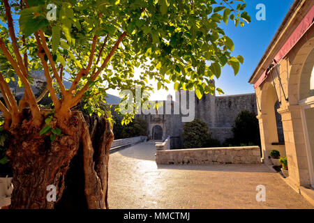 La città di Dubrovnik pila di gate vista ingresso, Dalmazia regione della Croazia Foto Stock