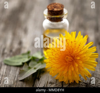 Tarassaco medicinali con olio essenziale su una superficie di legno Foto Stock