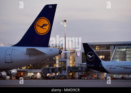 Airbus A 321-100, A321, 100, Lufthansa, nuova livrea, vecchia livrea, terminale 2, luci, notte, aeromobili, aereo, aereo, aeroporto di Monaco di Baviera, MUC, Germania, Foto Stock