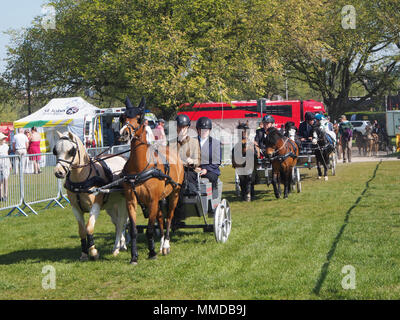 I concorrenti prendono parte alla Scurry campionati di guida presso il mondo rurale e il mare mostra a Southsea, Portsmouth. Foto Stock