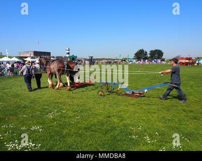 Un cavallo disegnato aratro, Inghilterra. Foto Stock