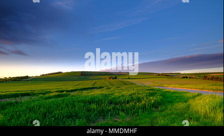 La molla il tramonto e la luce della sera sul Meon rifugio capanna di pastori sotto il vecchio Winchester Hill, South Downs, Hampshire, Regno Unito Foto Stock