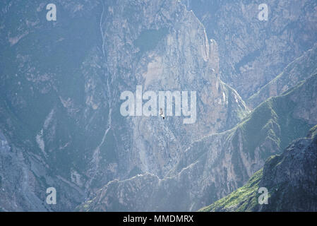 Il Canion del Colca nella regione di Arequipa Foto Stock