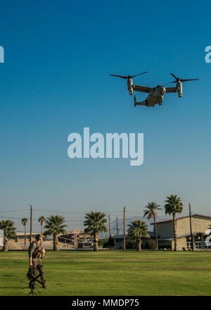 Master Sgt. Matteo Dank, il controllore del traffico aereo, Marine Aviation di armi e tattiche di uno squadrone, orologi come una MV-22 Osprey arriva a terra sulla lancia Cpl. Torrey L. campo grigio a bordo del Marine Corps Air Ground Centro di combattimento, ventinove Palms, California, 13 ottobre, 2017. Lo sbarco è stata condotta come parte di un non combattente operazione di evacuazione di esercizio al fine di preparare Marines per l evacuazione dei non-essenziali ai cittadini degli Stati Uniti e per il Dipartimento della difesa personale da situazioni pericolose all'estero. (U.S. Marine Corps photo by Lance Cpl. Isaac Cantrell) Foto Stock