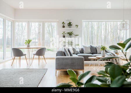 Poltrone di colore grigio al tavolo di legno vicino al divano ad angolo con cuscini in scandi living room interior Foto Stock