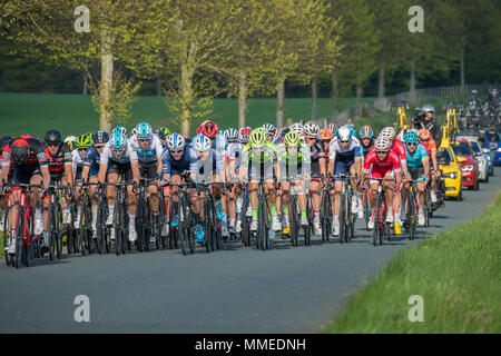 Maschio di ciclisti in peloton, gareggiando in Tour de Yorkshire 2018 & racing su una superficie piana e scenic, campagna lane vicino a Ilkley, North Yorkshire, Inghilterra, Regno Unito. Foto Stock