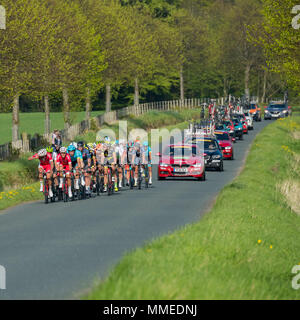 Maschio di ciclisti in peloton, gareggiando in Tour de Yorkshire 2018 & racing su una superficie piana e scenic, campagna lane vicino a Ilkley, North Yorkshire, Inghilterra, Regno Unito. Foto Stock