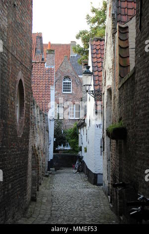 Vicolo nascosto in Bruges Foto Stock