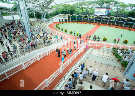 Singapore/Singapore - Novembre 16, 2014: La Longines Gold Cup racing al al Kranji circuito di Singapore. Qui nella zona del paddock. Foto Stock