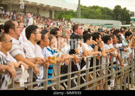 Singapore/Singapore - Novembre 16, 2014: La Longines Gold Cup racing al al Kranji circuito di Singapore. Fan pagare desiderosi di attenzione. Foto Stock