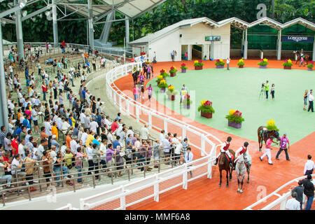 Singapore/Singapore - Novembre 16, 2014: La Longines Gold Cup racing al al Kranji circuito di Singapore. Qui nella zona del paddock. Foto Stock