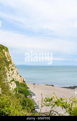 Chalk cliffs di birra testa sopra la spiaggia accanto al canale inglese accanto al villaggio di birra sulla costa sud di Devon, Inghilterra. Foto Stock