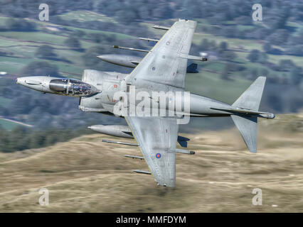 RAF Harrier livello basso Foto Stock