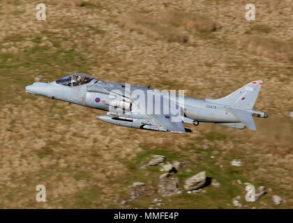 RAF Harrier livello basso Foto Stock