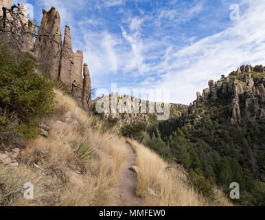 Hoodoo ed Riggs Trail, Chiricahua National Monument, vicino Willcox, Cochise County, Arizona, Stati Uniti d'America Foto Stock