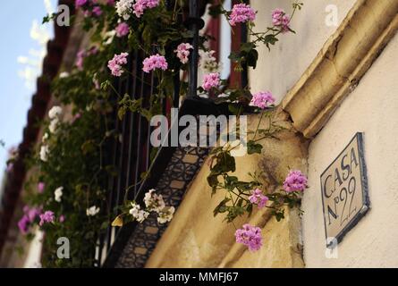 Madrid, Spagna. Il 10 maggio, 2018. I fiori sbocciano in corrispondenza di un balcone a Cordoba, Spagna, il 10 maggio 2018. Il Patio Festival di Cordoba è detenuto dal 1 Maggio al 13 maggio. Credito: Guo Qiuda/Xinhua/Alamy Live News Foto Stock