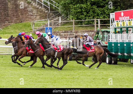 Start Gate come la gara si avvia a Chester, Regno Unito. Homeserve Huxley Stakes maggio 2018. Credit: MediaWorldimages/AlamyLiveNews Foto Stock