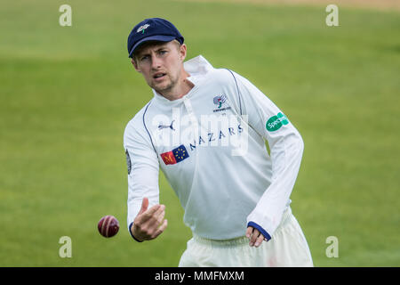 Londra, UK. 11 Maggio, 2018. Joe fielding radice per lo Yorkshire contro Surrey il giorno uno della contea di Specsavers partita di campionato al ovale. David Rowe/Alamy Live News Foto Stock