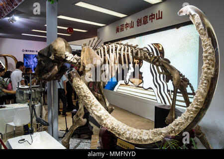 Avorio intagliato zanne store, elephant brosmio e lo scheletro in vendita in Cina Foto Stock