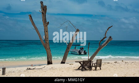 Vista della Barriera Corallina dalla testa di spiaggia, Denis isola privata, Seicelle Foto Stock