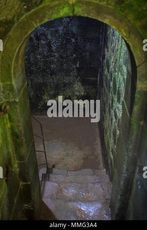 Guardando verso il basso nel dungeon umido del Castello di Pevensey in East Sussex, Regno Unito. Il Castello di Pevensey è un castello medievale e romano ex Saxon Shore fort. Foto Stock