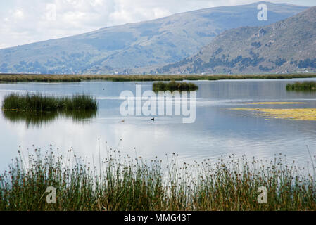 Il lago Titicaca in Barca Foto Stock