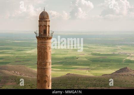 Cupola di Zinciriye Medrese, Mardin, a sud est della Turchia Foto Stock