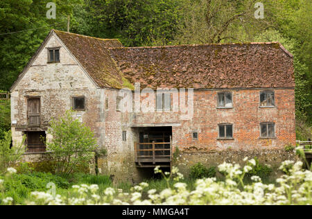 Sturminster Newton mulino sul Dorset Stour Fiume nei pressi della piccola città mercato di Sturminster Newton. Questo è uno dei numerosi mulini sul Dorset Stour r Foto Stock