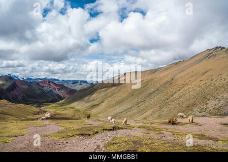Rainbow escursione in montagna con i cavalli e paesaggi sorprendenti Foto Stock