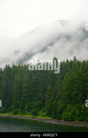 Hoonah, Alaska, Stati Uniti d'America: le nuvole e la nebbia spazzolata attraverso un fitto bosco di pini a Icy Strait Point, vicino Hoonah, Alaska. Foto Stock