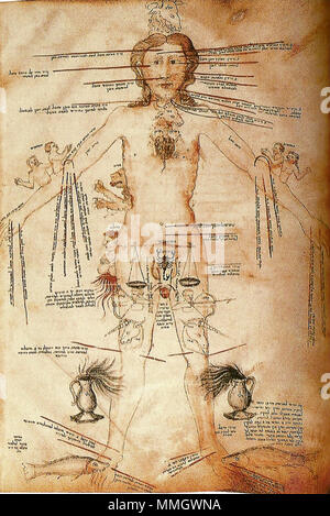 Segni Astrologici E Parti Del Corpo Umano Del Xiv Secolo Foto Stock Alamy