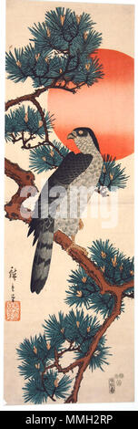 . Inglese: il numero di accessione: 1939.1.j Visualizza artista: Utagawa Hiroshige Visualizza Titolo: falco in pino di sunrise Data di creazione: 1852 medie: Woodblock Altezza: 29 5/8 in. Larghezza: 9 13/16 in. Dimensioni display: 29 5/8 in. x 9 13/16 in. (75.25 cm x 24.92 cm) Editore: Sanoya Kihei linea di credito: " Dono della sig.ra Clinton G. Abbott dalla tenuta di suo padre, il Sig. William G. Clarke' etichetta copia: " Falcon sta per un forte impegno e il successo e il pino si riferisce alla longevità. In combinazione con il Rising Sun, tali elementi sono spesso associati con il nuovo anno, e questo sarebbe di stampa hav Foto Stock