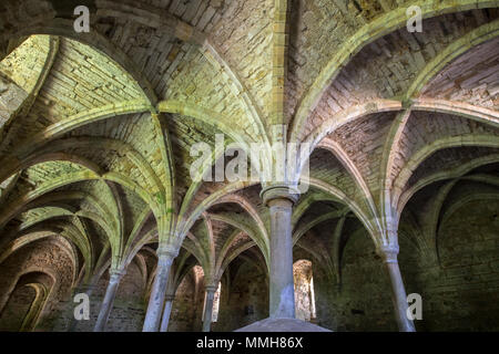 I resti del undercroft presso la storica Abbazia di Battle in East Sussex, Regno Unito. Foto Stock