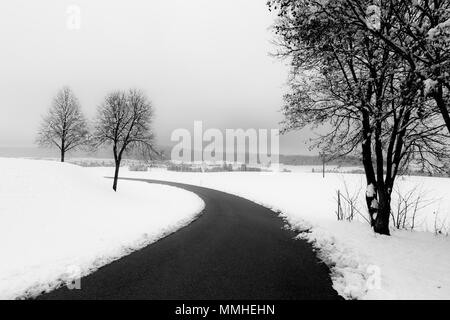 Una curva strada in mezzo alla neve, con alberi a lato Foto Stock