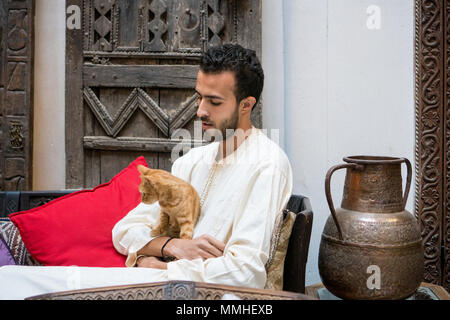 Giovani Musulmani uomo tenendo un gatto giallo di fronte ad una parete decorata Foto Stock