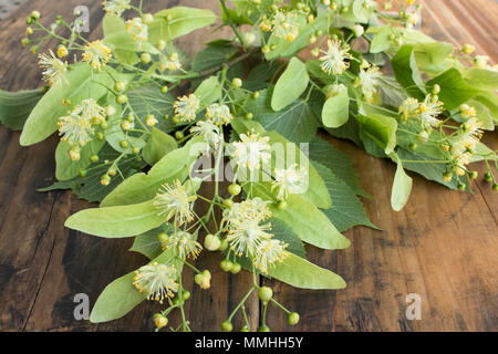 I fiori di tiglio su un rustico sfondo di legno. Foto Stock