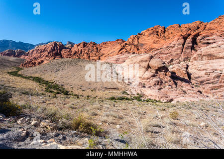 Vegetazione nel deserto e multi-colore di formazioni rocciose nella Red Rock Canyon National Conservation Area al di fuori di Las Vegas, Nevada Foto Stock