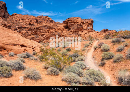 Il sentiero si snoda attraverso il red Aztec roccia arenaria formazioni in il Parco della Valle di Fire State in Overton, Nevada a nord-est di Las Vegas Foto Stock