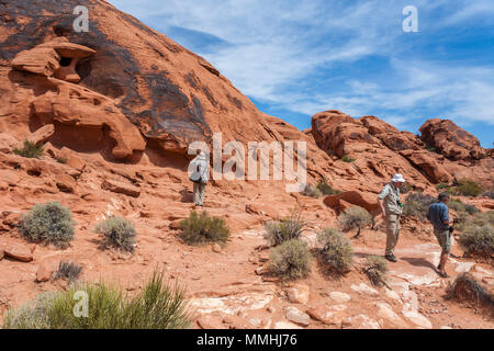 I visitatori fotografano simboli incisi nelle formazioni rocciose di arenaria rossa nel Valley of Fire State Park di Overton, Nevada, a nord-est di Las Vegas Foto Stock
