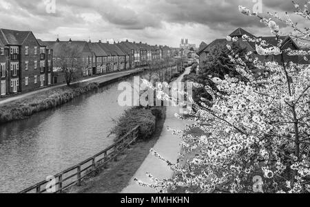 La beck (canale) che conduce al Minster fiancheggiate da case e fiori di primavera a Beverley, nello Yorkshire, Regno Unito. Foto Stock