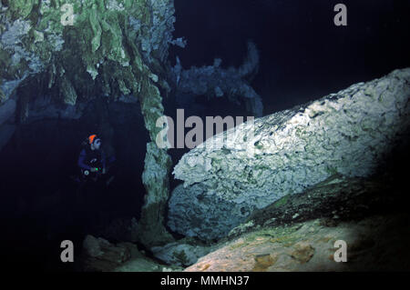 Diver esplora il paesaggio subacqueo all'interno Cenote Dos Ojos, Tulum, Quintana Roo, Messico Foto Stock