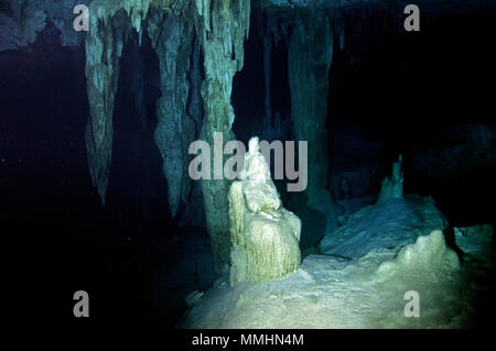 Underwater stalattiti e stalagmiti all'interno Cenote Dos Ojos, Tulum, Quintana Roo, Messico Foto Stock