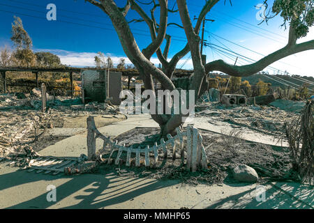 Gennaio 2018, VENTURA CALIFORNIA - case distrutte da 2018 Thomas Fire off Foothill strada in via Arroyo e Via Pasito quartiere, il più grande incendio nella storia della California Foto Stock