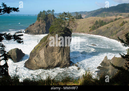 Costa al Samuel H. Boardman parco statale, Oregon, Stati Uniti d'America Foto Stock