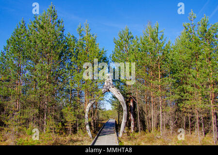 Ingresso al Riisa bog trail nel Soomaa National Park, wild zone umide accessibile solo su passerelle che portano gli escursionisti attraverso le paludi Foto Stock