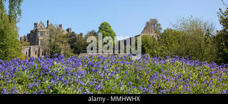 Vista panoramica che si affaccia sulla Bluebells verso l Abbazia di Battle e Battle Abbey School, in East Sussex, Regno Unito. I campi di battaglia Abbazia sono dove la Foto Stock