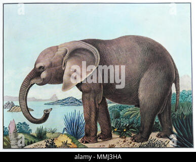 Tedesco: Der afrikanische Elefant. 2 Giugno 1886. Aloys Zötl (1803-1887) nomi alternativi Aloys Zotl Descrizione pittore austriaco Data di nascita e morte 4 Dicembre 1803 21 ottobre 1887 Luogo di nascita e morte Freistadt, Austria Superiore Eferding, Austria superiore sede di lavoro Austria autorità controllo : Q874512 VIAF:?ISNI 59877689:?0000 0000 8243 3811 ULAN:?500183312 LCCN:?n82275090 GND:?118637193 WorldCat Der afrikanische Elefant Foto Stock