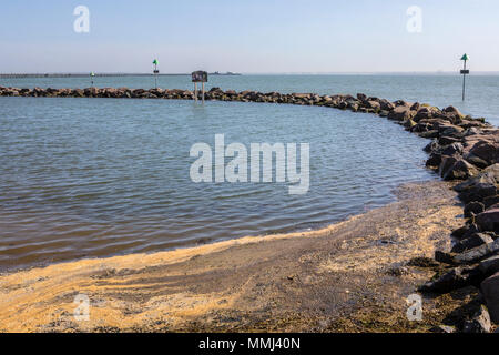 I tre gusci laguna di Southend-on-Sea nell'Essex, Regno Unito. Foto Stock